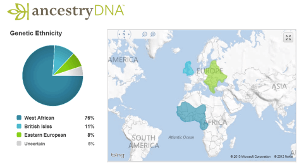 DNA Testing Results