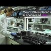 Visit the MyHeritage DNA Lab.