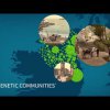 AncestryDNA Genetic Communities