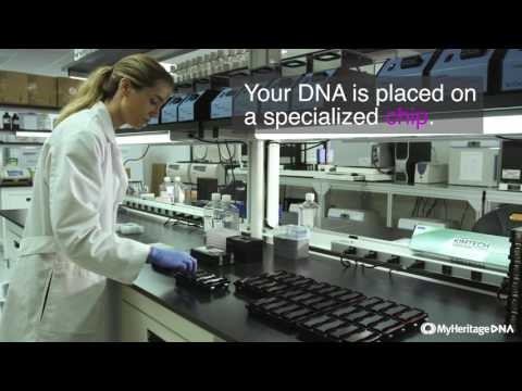 Visit the MyHeritage DNA Lab.